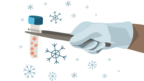  sperm and embroy cryopreservation